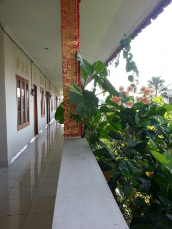 Denpasar,Bali,Indonesia,14 Bedrooms,14 Bathrooms,Residential,MLS ID