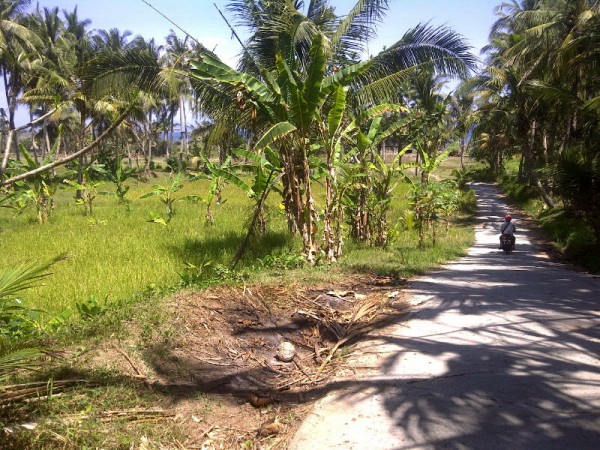 Gianyar,Bali,Indonesia,Land,MLS ID