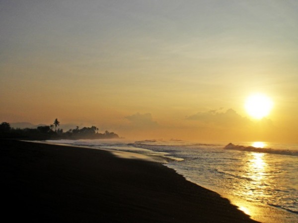 Gianyar,Bali,Indonesia,Land,MLS ID