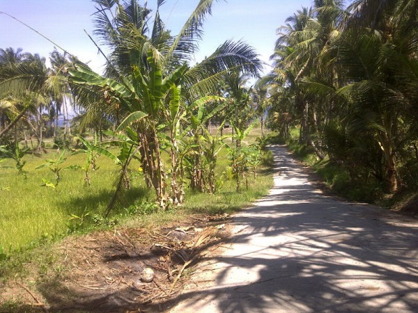 Gianyar,Bali,Indonesia,Land,MLS ID