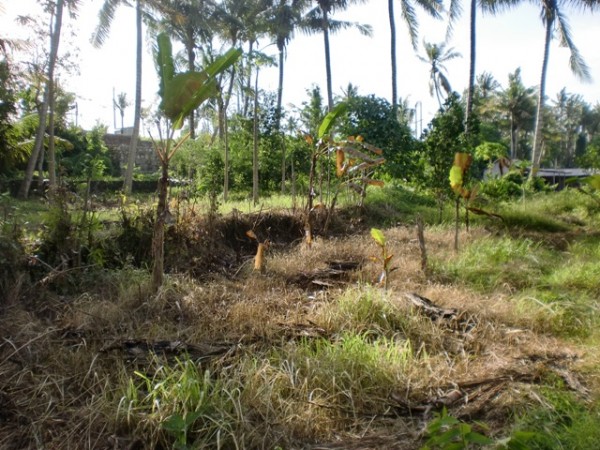 Gianyar,Bali,Indonesia,Land,MLS ID