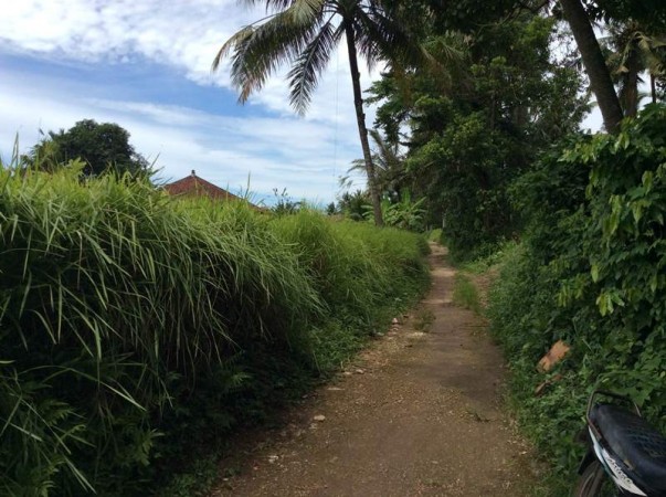 Ubud,Bali,Indonesia,Land,MLS ID