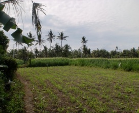 Gianyar,Bali,Indonesia,Land,MLS ID