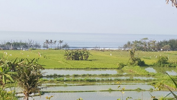 Gianyar,Bali,Indonesia,Land,MLS ID