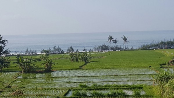 Gianyar,Bali,Indonesia,Land,MLS ID