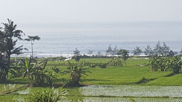 Gianyar,Bali,Indonesia,Land,MLS ID