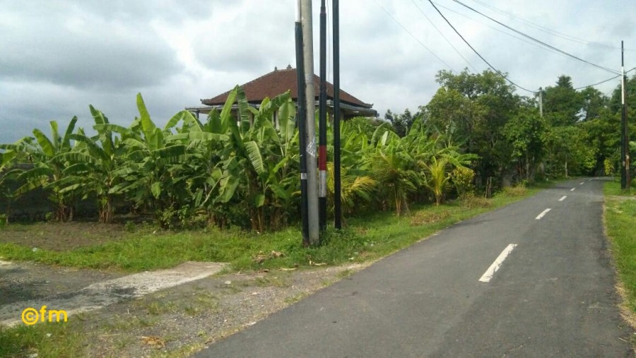 Canggu,Bali,Indonesia,Land,MLS ID