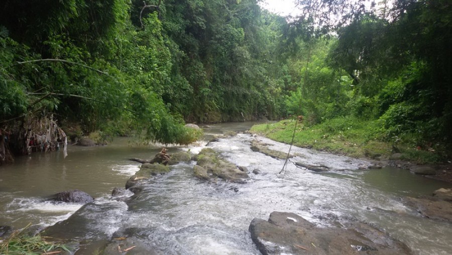 Tabanan,Bali,Indonesia,Land,MLS ID