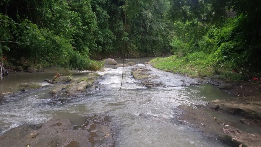 Tabanan,Bali,Indonesia,Land,MLS ID