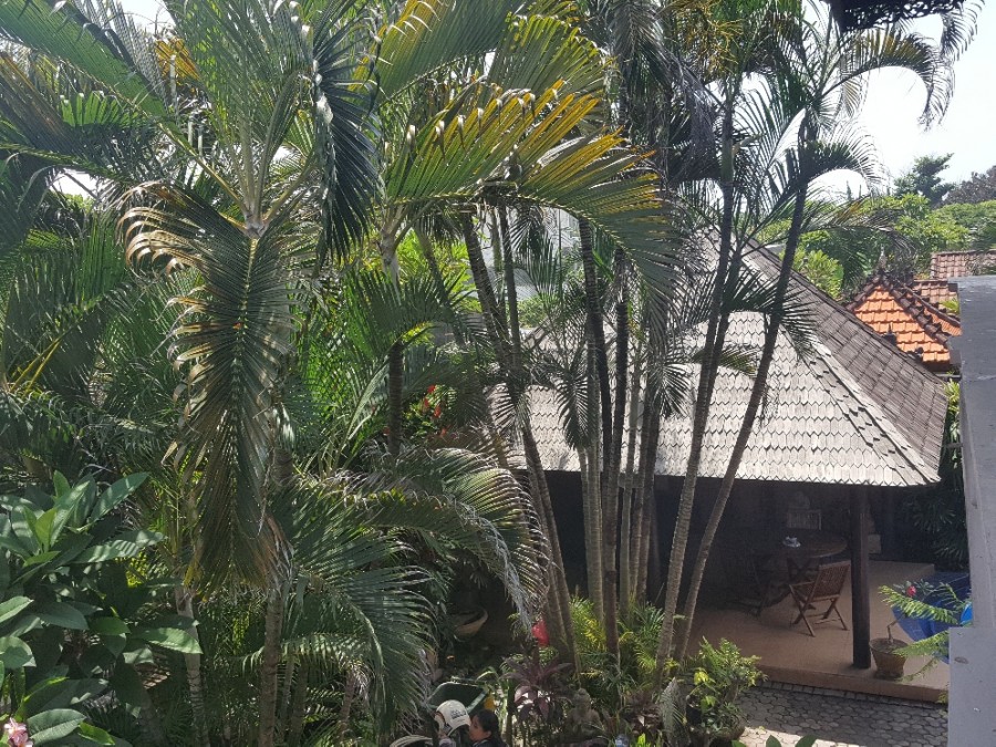 Gianyar,Bali,Indonesia,3 Bedrooms,3 Bathrooms,Villa,MLS ID