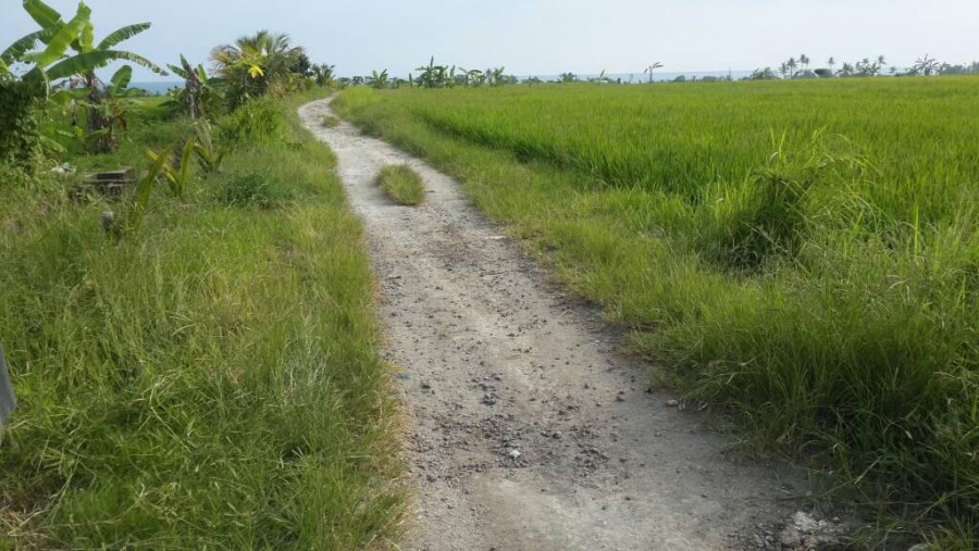 Tabanan,Bali,Indonesia,Land,MLS ID