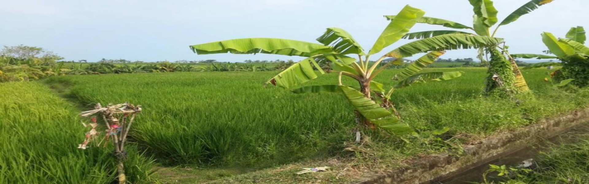 Tabanan,Bali,Indonesia,Land,MLS ID