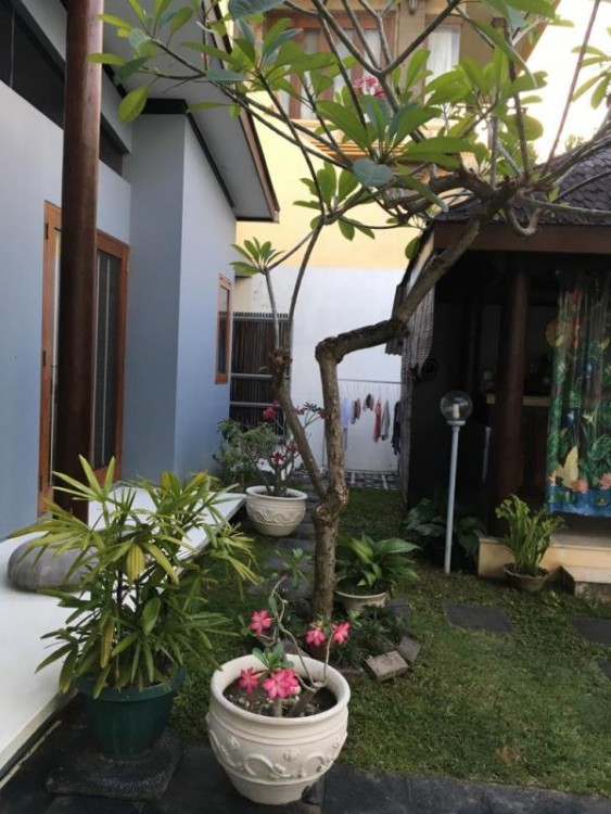 Denpasar,Bali,Indonesia,2 Bedrooms,2 Bathrooms,Residential,MLS ID