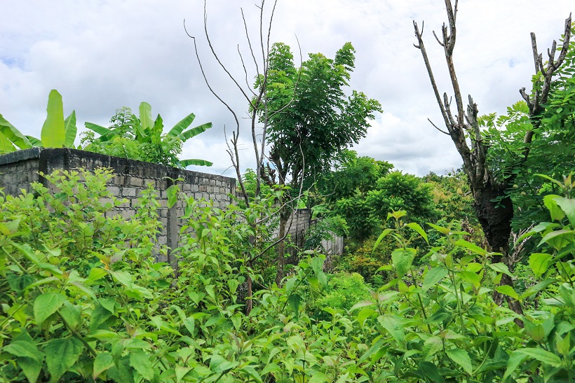 Ungasan,Bali,Indonesia,Land,MLS ID