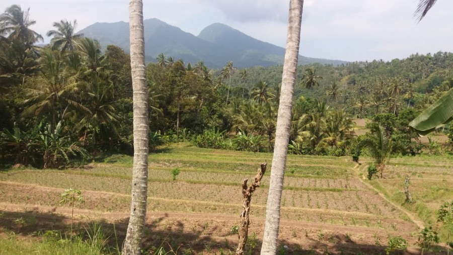 Karangasem,Bali,Indonesia,Land,MLS ID