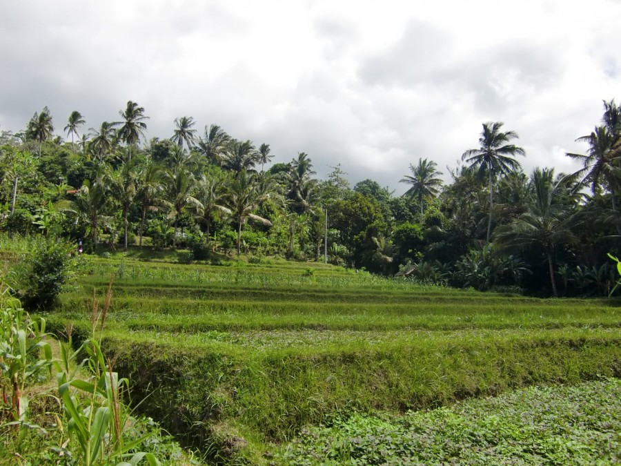 Karangasem,Bali,Indonesia,Land,MLS ID