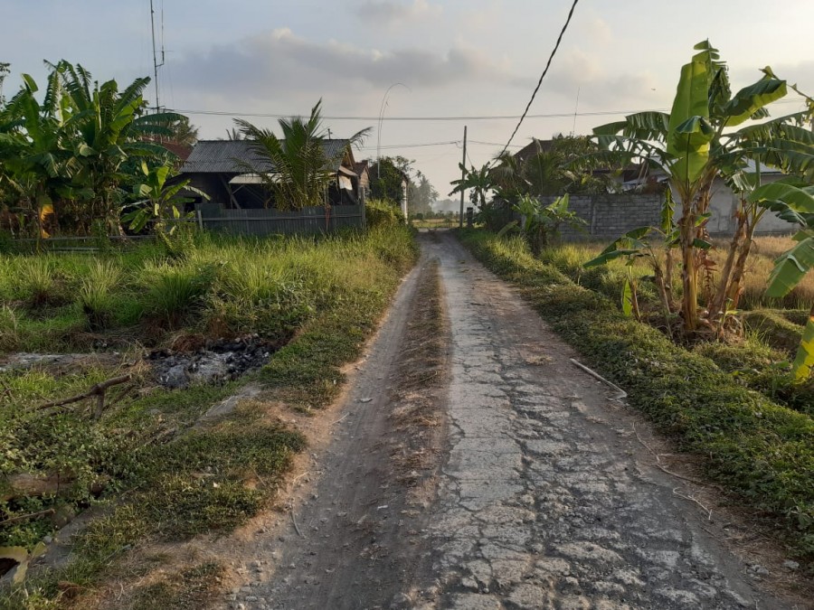 Tabanan,Bali,Indonesia,Land,MLS ID