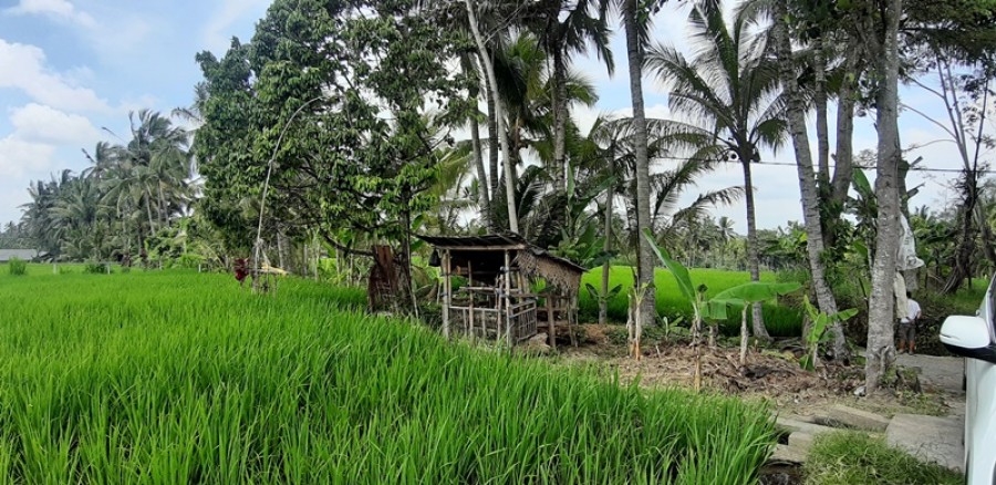 Ubud,Bali,Indonesia,Land,MLS ID