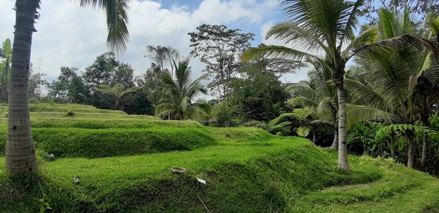 Ubud,Bali,Indonesia,Land,MLS ID