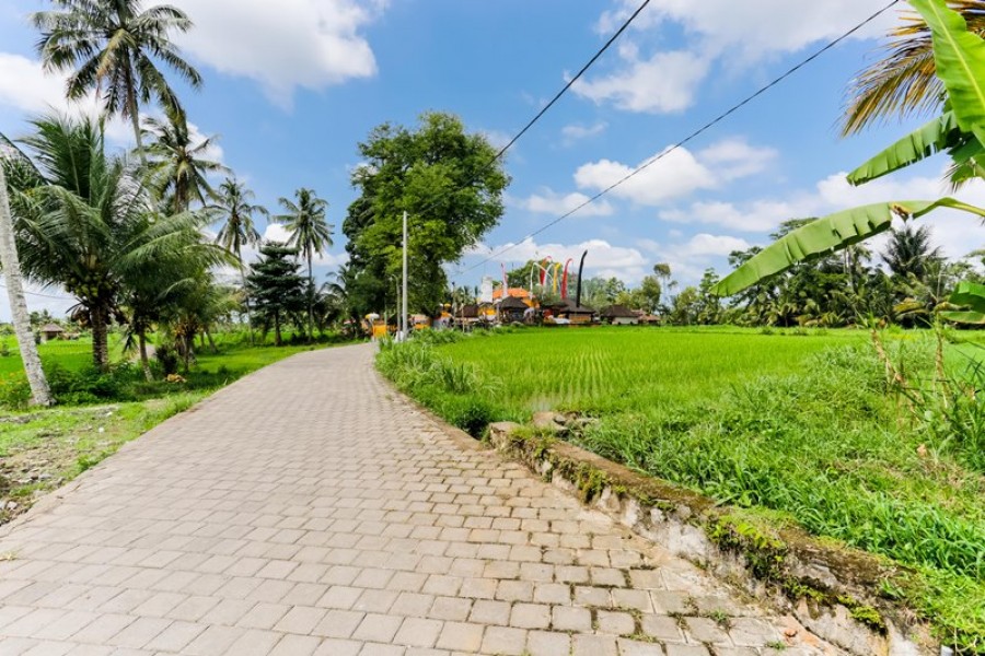 Ubud,Bali,Indonesia,Land,MLS ID