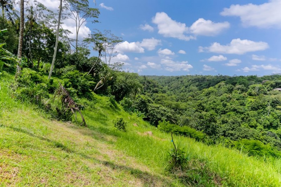 Ubud,Bali,Indonesia,Land,MLS ID