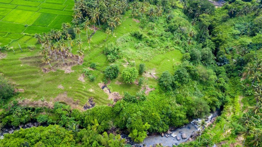 Ubud,Bali,Indonesia,Land,MLS ID