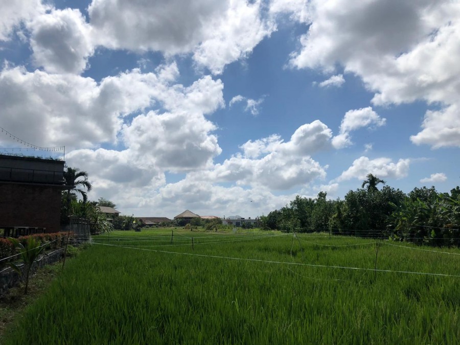 Canggu,Bali,Indonesia,Land,MLS ID