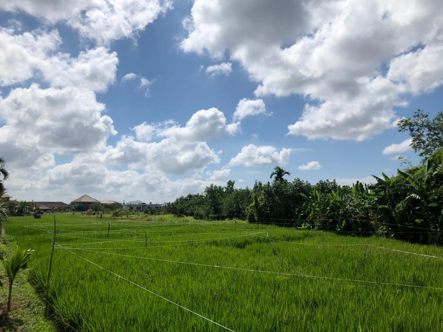 Canggu,Bali,Indonesia,Land,MLS ID