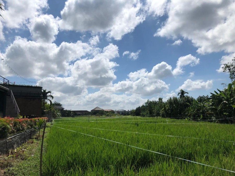 Canggu,Bali,Indonesia,Land,MLS ID