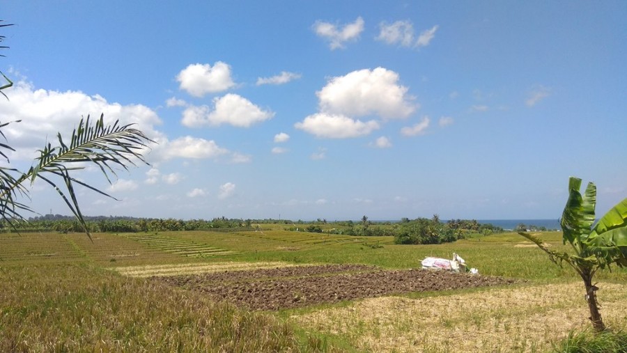 Tabanan,Bali,Indonesia,Land,MLS ID