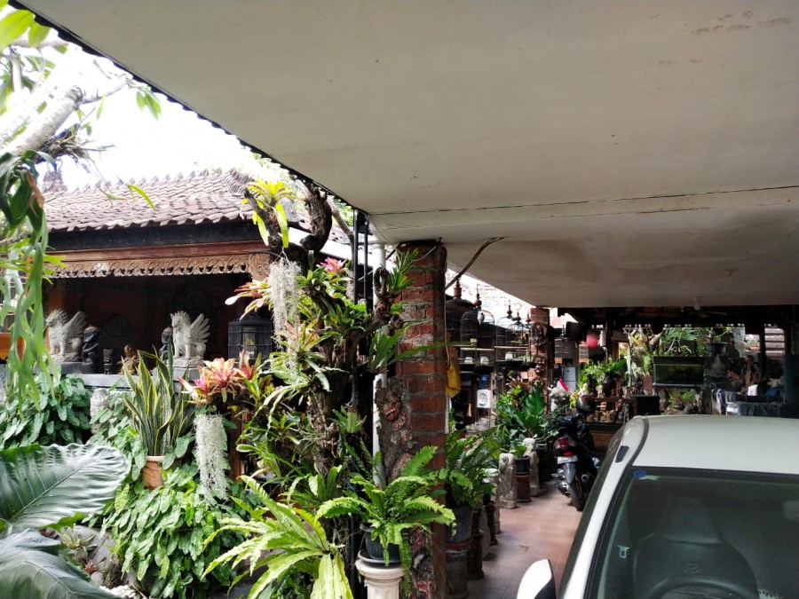 Denpasar,Bali,Indonesia,4 Bedrooms,2 Bathrooms,Residential,MLS ID