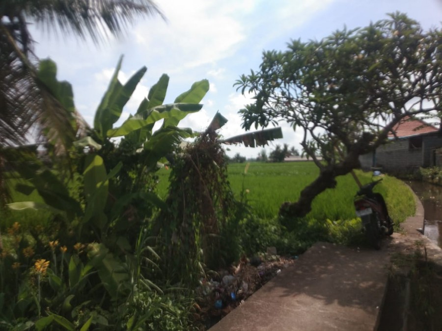 Gianyar,Bali,Indonesia,Land,MLS ID