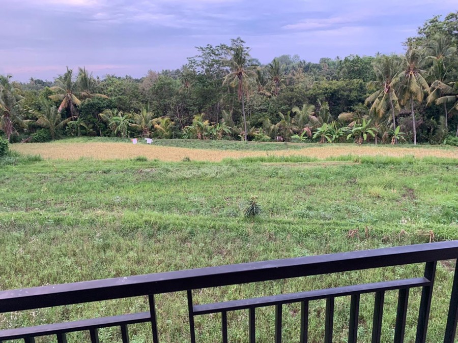 Singaraja,Bali,Indonesia,2 Bedrooms,1 Bathroom,Residential,MLS ID