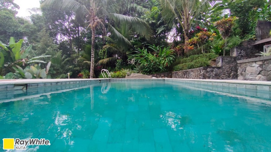 Ubud,Bali,Indonesia,5 Bedrooms,4 Bathrooms,Villa,MLS ID