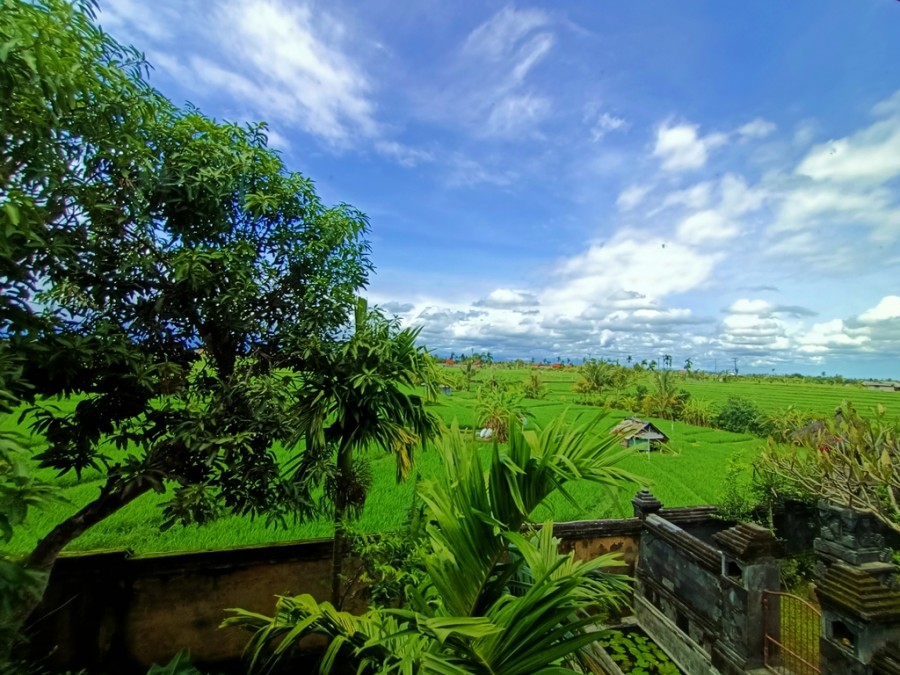 Cemagi,Bali,Indonesia,Land,MLS ID