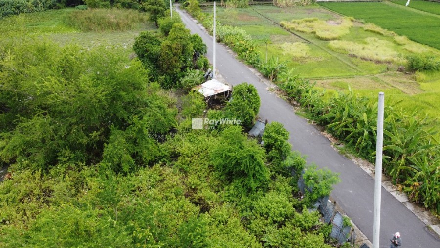 Seminyak,Bali,Indonesia,Land,MLS ID