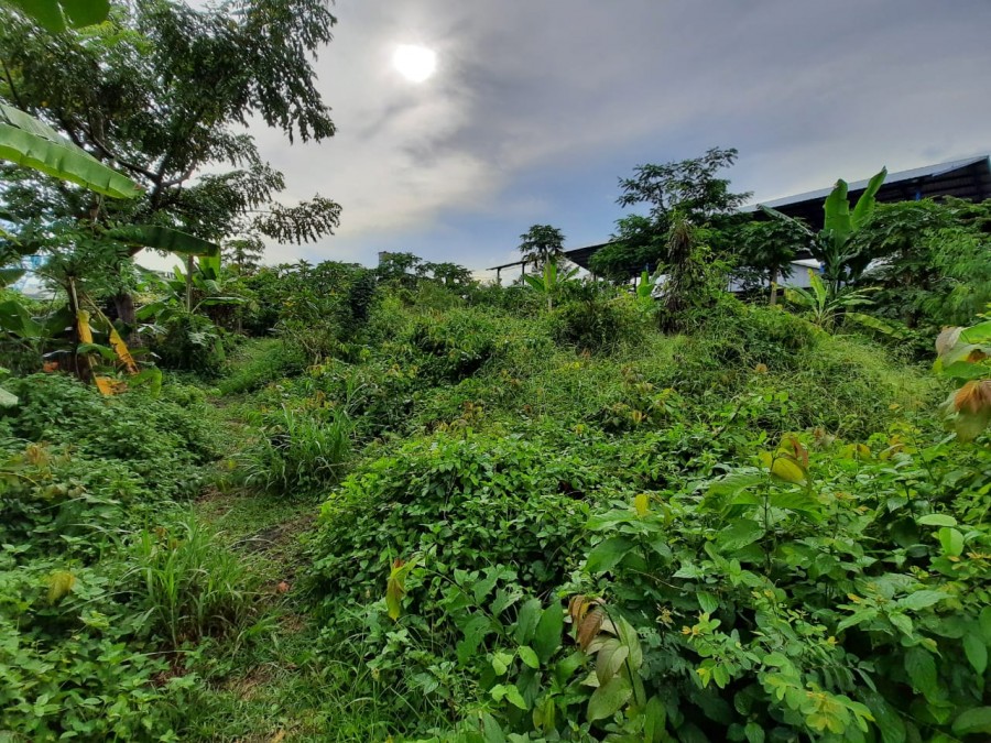 Gianyar,Bali,Indonesia,Land,MLS ID