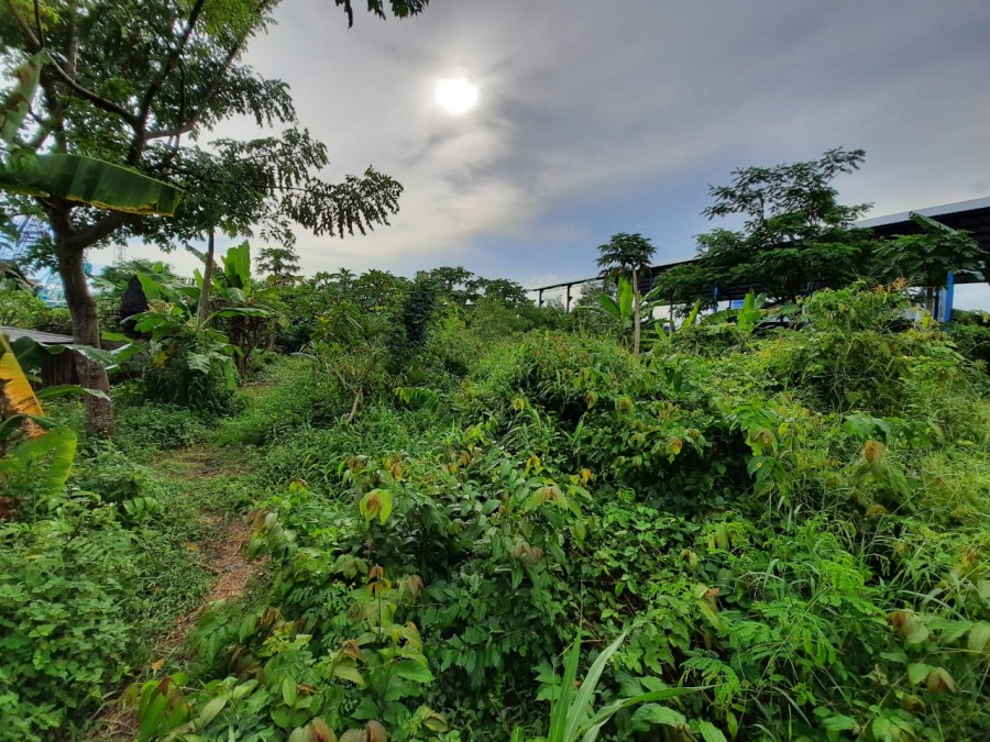 Gianyar,Bali,Indonesia,Land,MLS ID