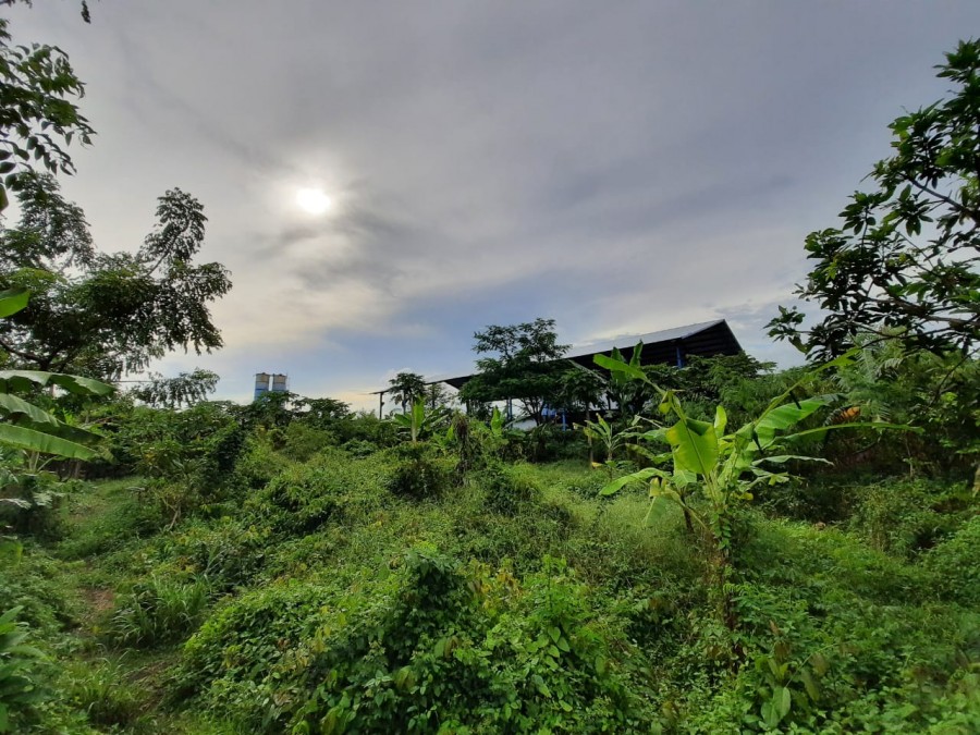 Gianyar,Bali,Indonesia,Land,MLS ID