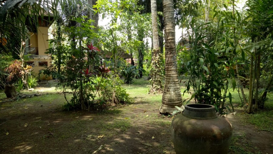 Denpasar,Bali,Indonesia,3 Bedrooms,4 Bathrooms,Land,MLS ID