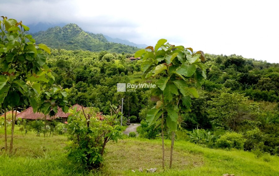 Singaraja,Bali,Indonesia,Land,MLS ID