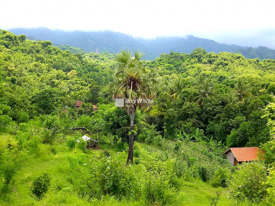 Singaraja,Bali,Indonesia,Land,MLS ID