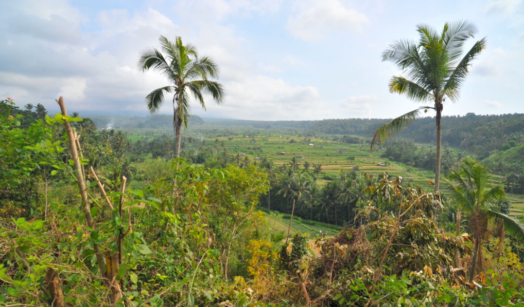 Karangasem,Bali,Indonesia,Land,MLS ID