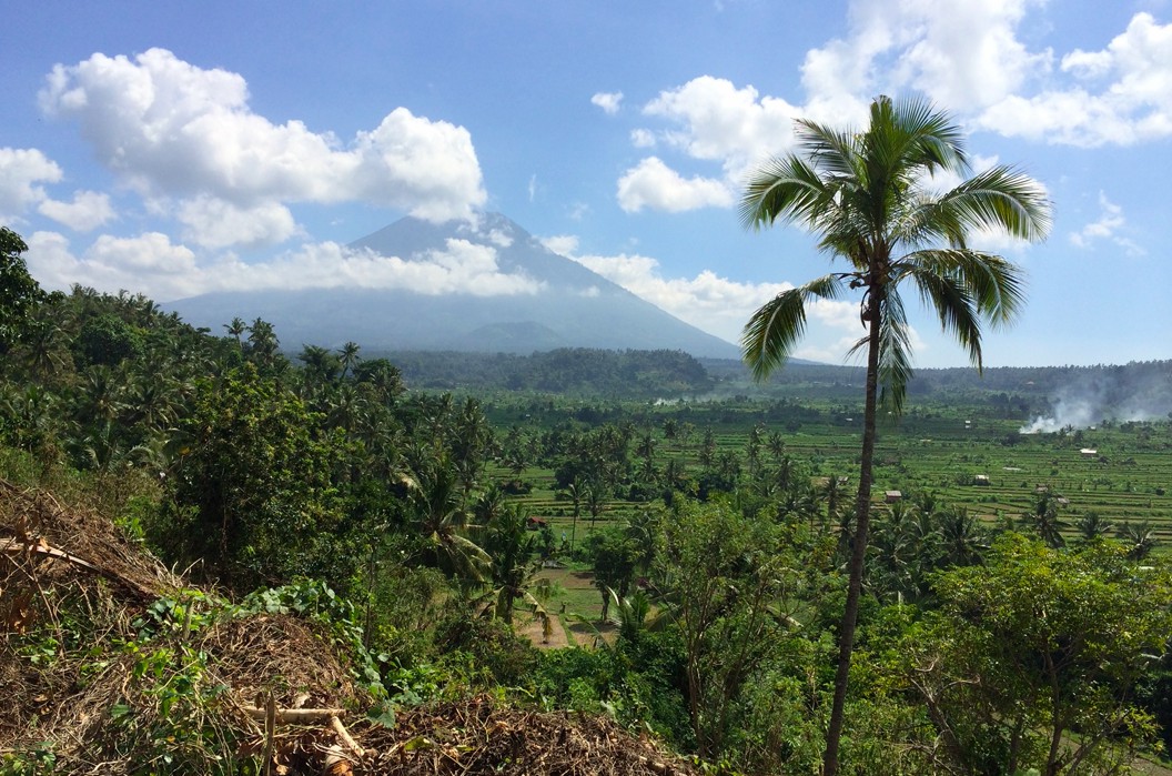 Karangasem,Bali,Indonesia,Land,MLS ID