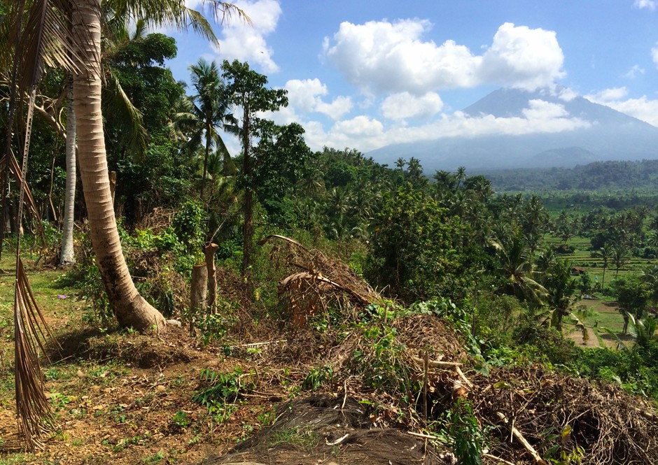 Karangasem,Bali,Indonesia,Land,MLS ID