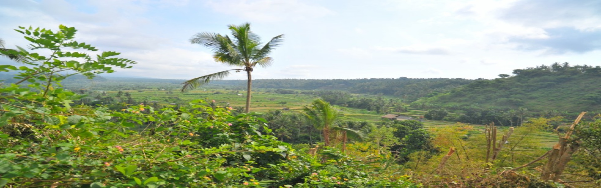 Karangasem,Bali,Indonesia,Land,MLS ID