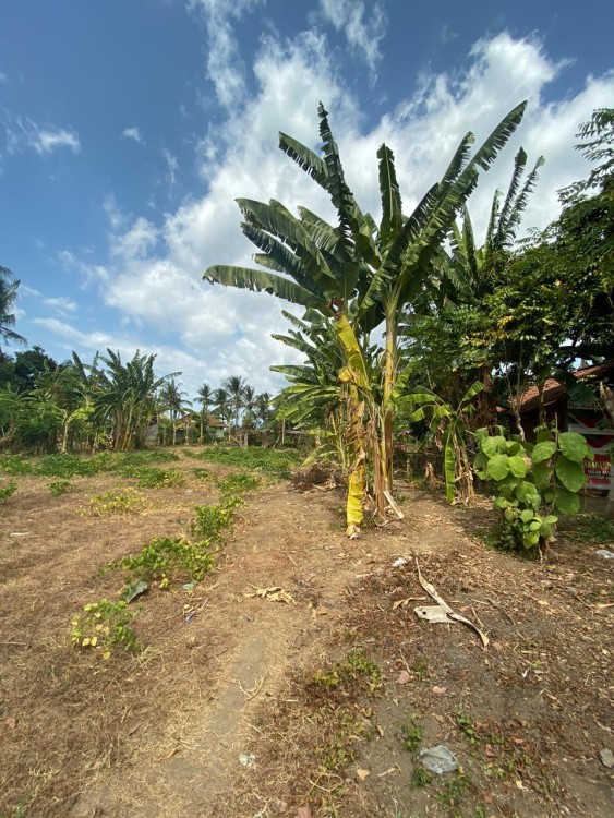 Singaraja,Bali,Indonesia,Land,MLS ID