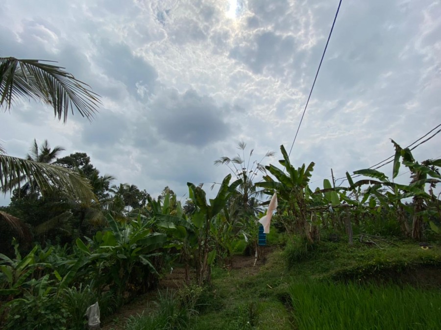 Ubud,Bali,Indonesia,Land,MLS ID