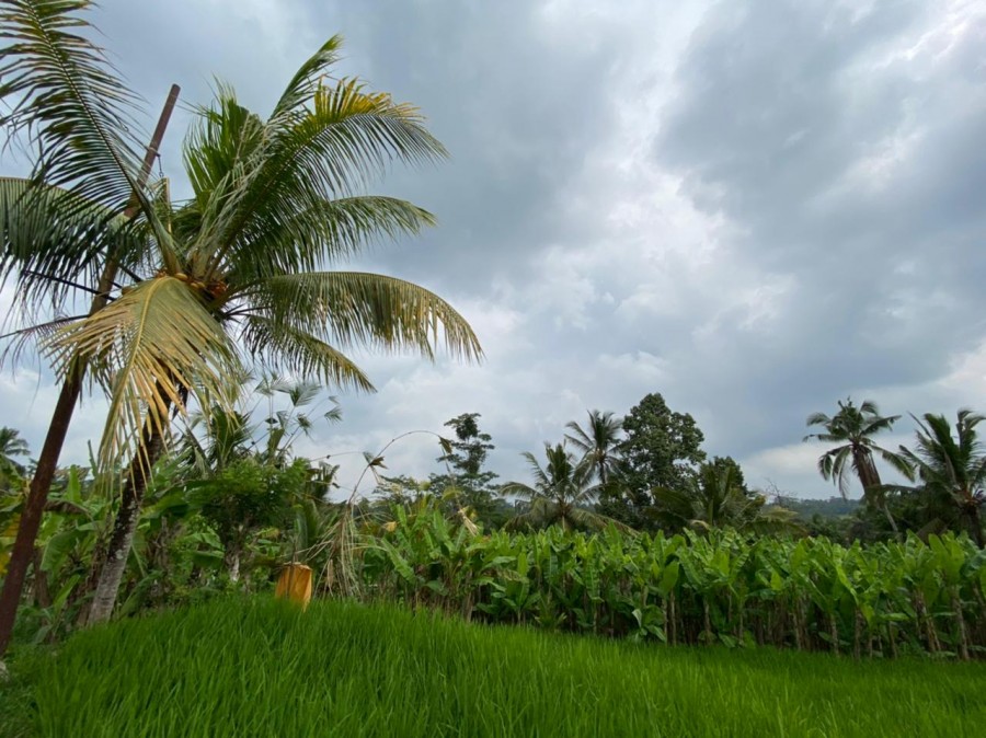 Ubud,Bali,Indonesia,Land,MLS ID