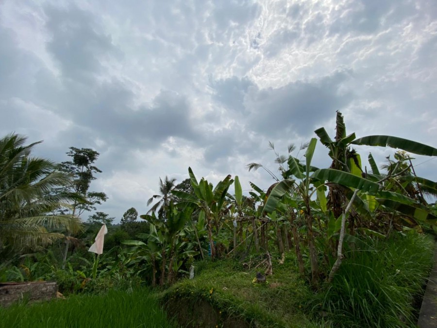 Ubud,Bali,Indonesia,Land,MLS ID